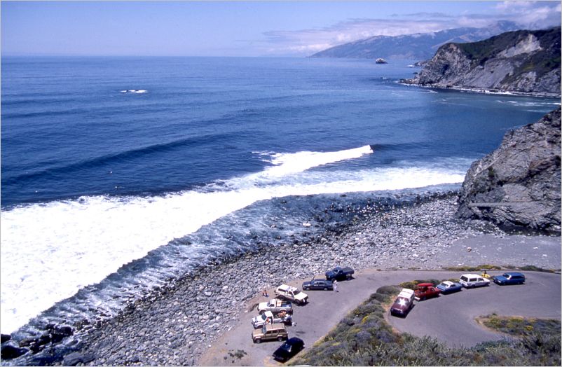 Surfers